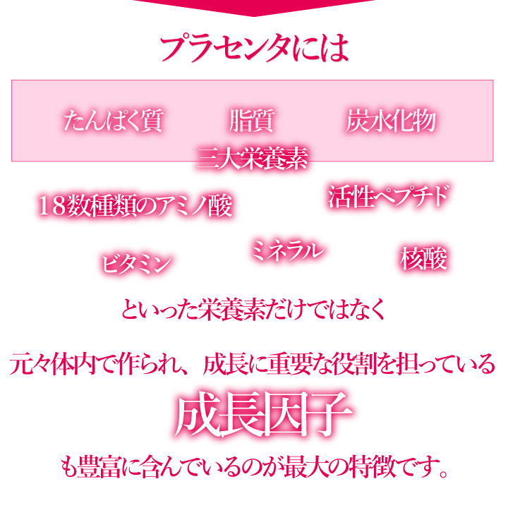 アキュセル・プラス2