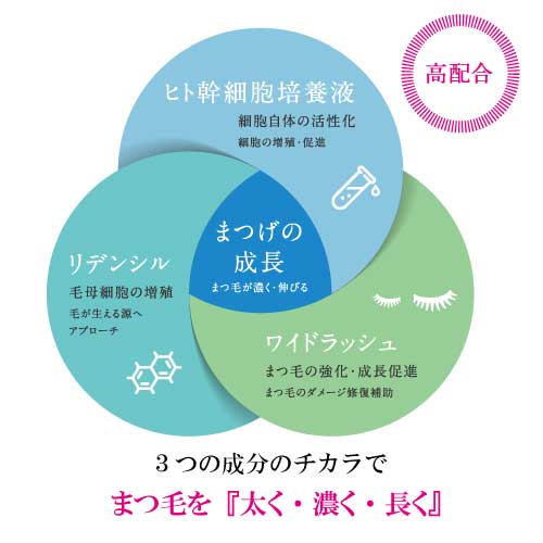 ラッシュグランディール 【ヒト幹まつ毛美容液】